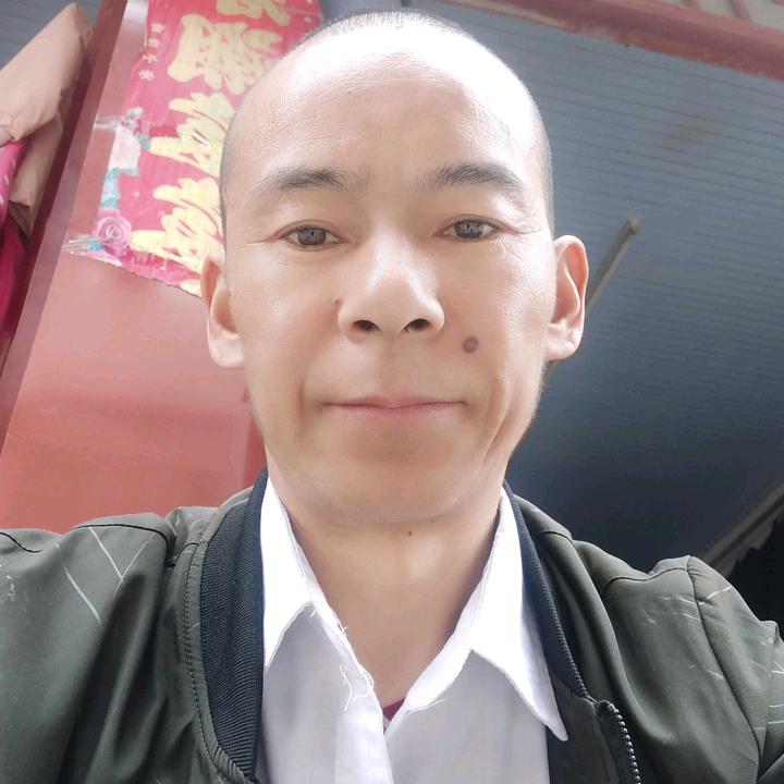 天天招财