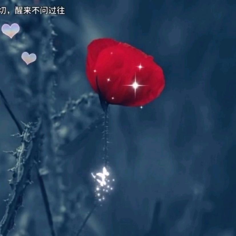 小羽