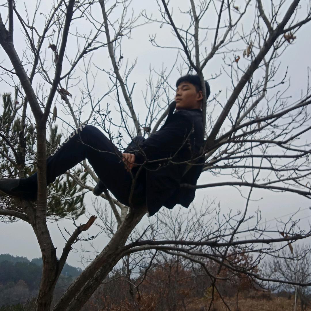 孤独的酒