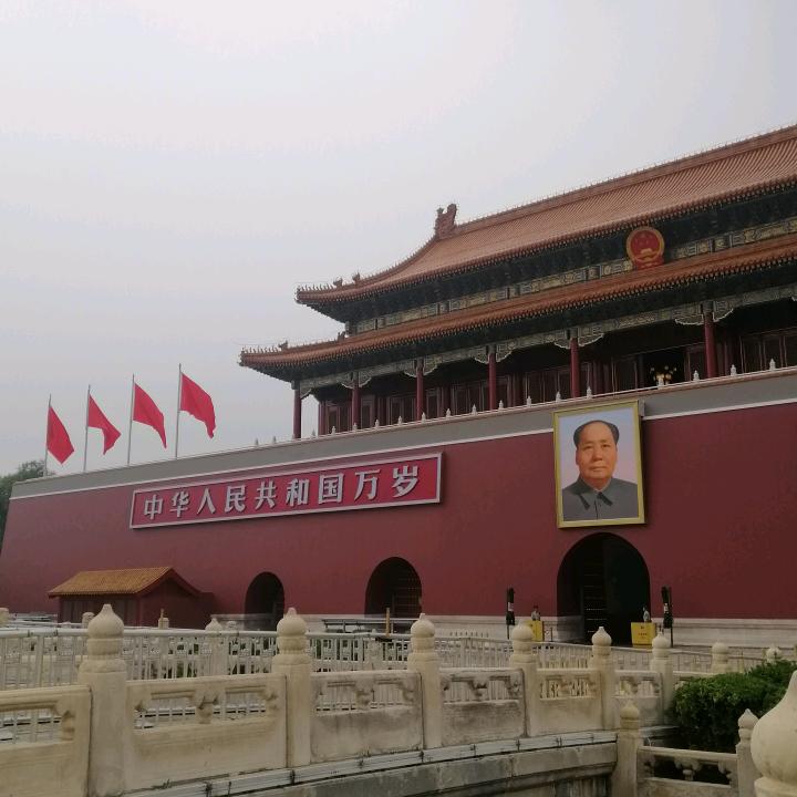 大海的力量