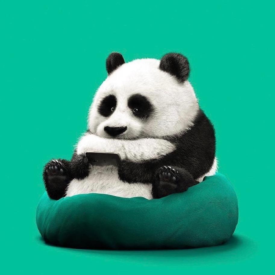 每日单词例句