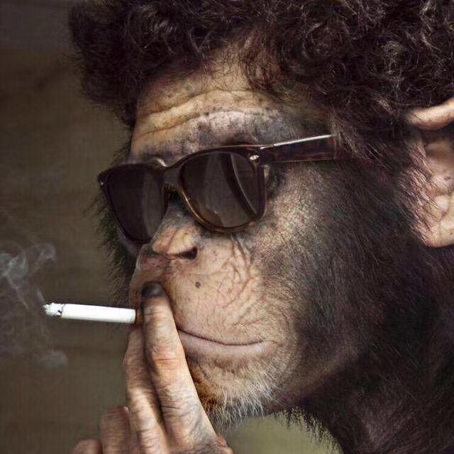 心态好才是真的好