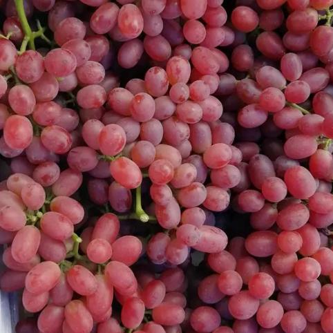 (〜顺其自然▽￣)〜❤️