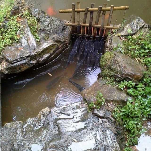 上上签