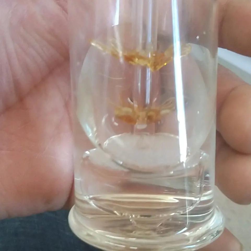 嗨……你好同志的日常