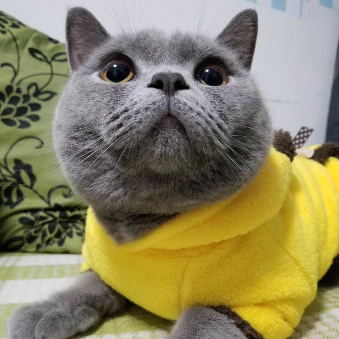 不唱歌的吉他手