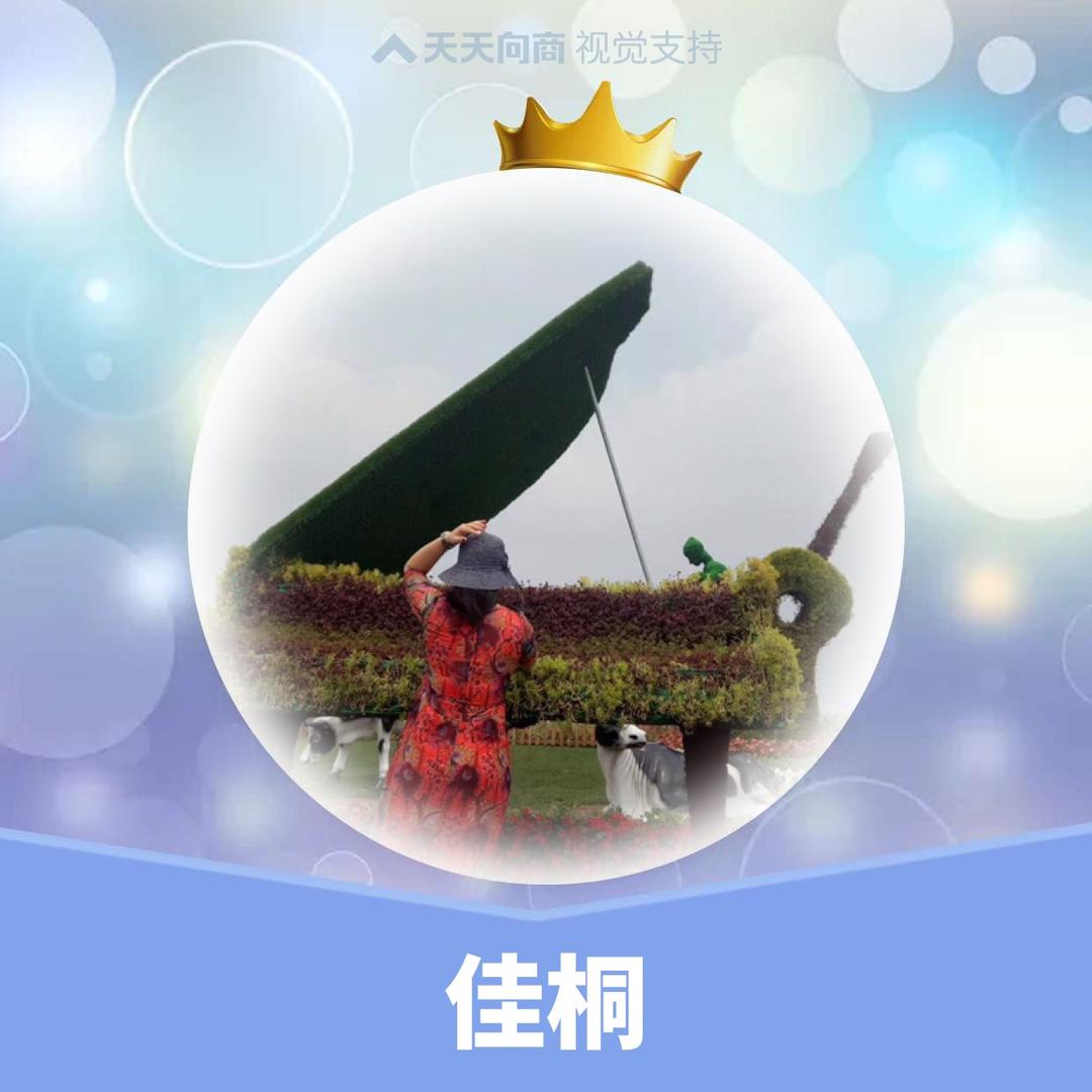 佳桐@