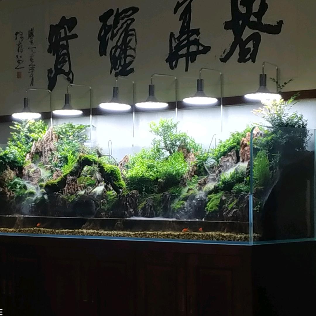 🎅🏽🎅🏽🎅🏽🎅🏽🎅🏽