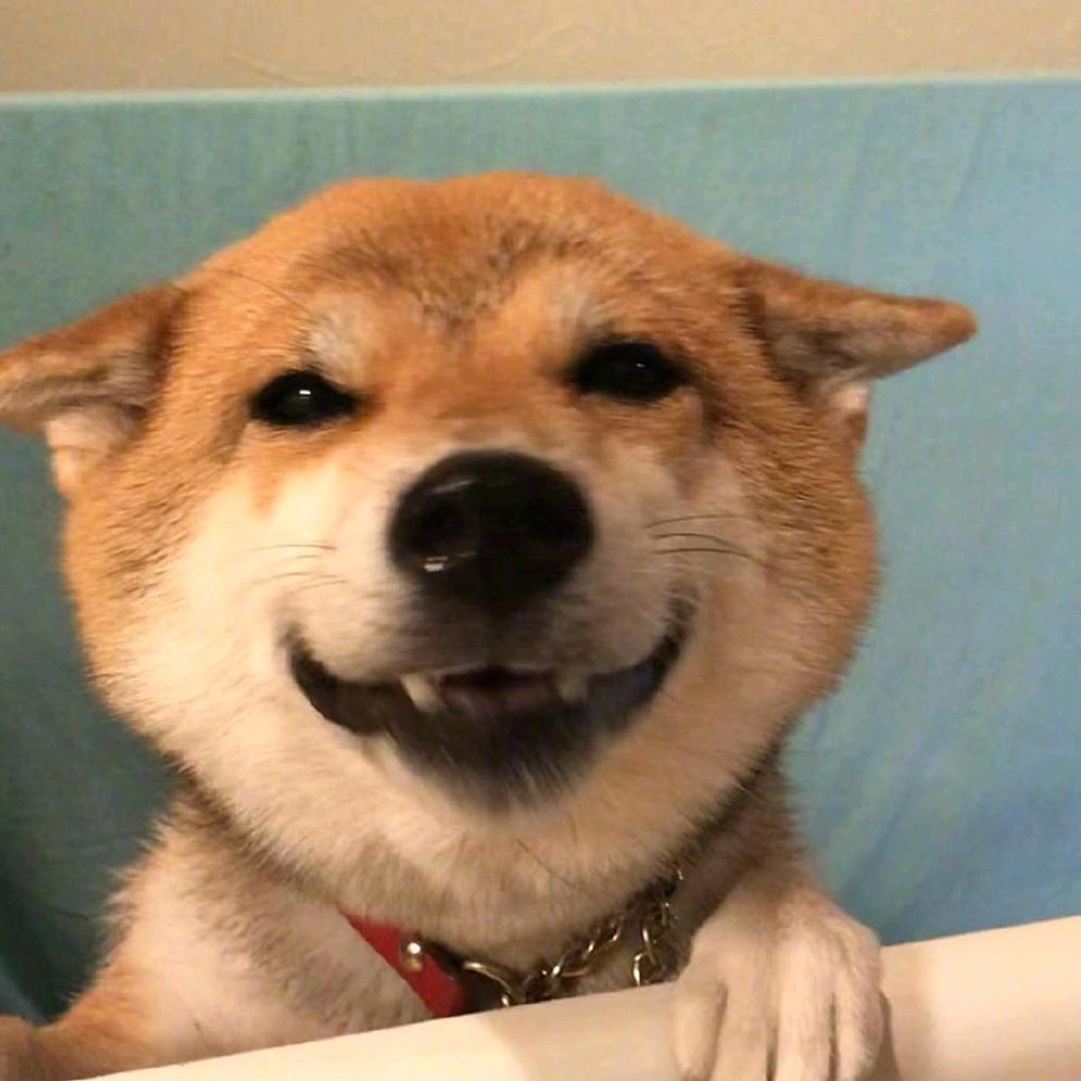 飞菲肥