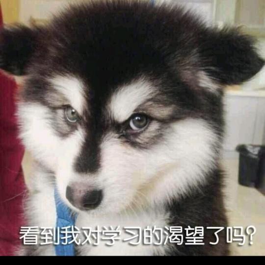 捡了个头