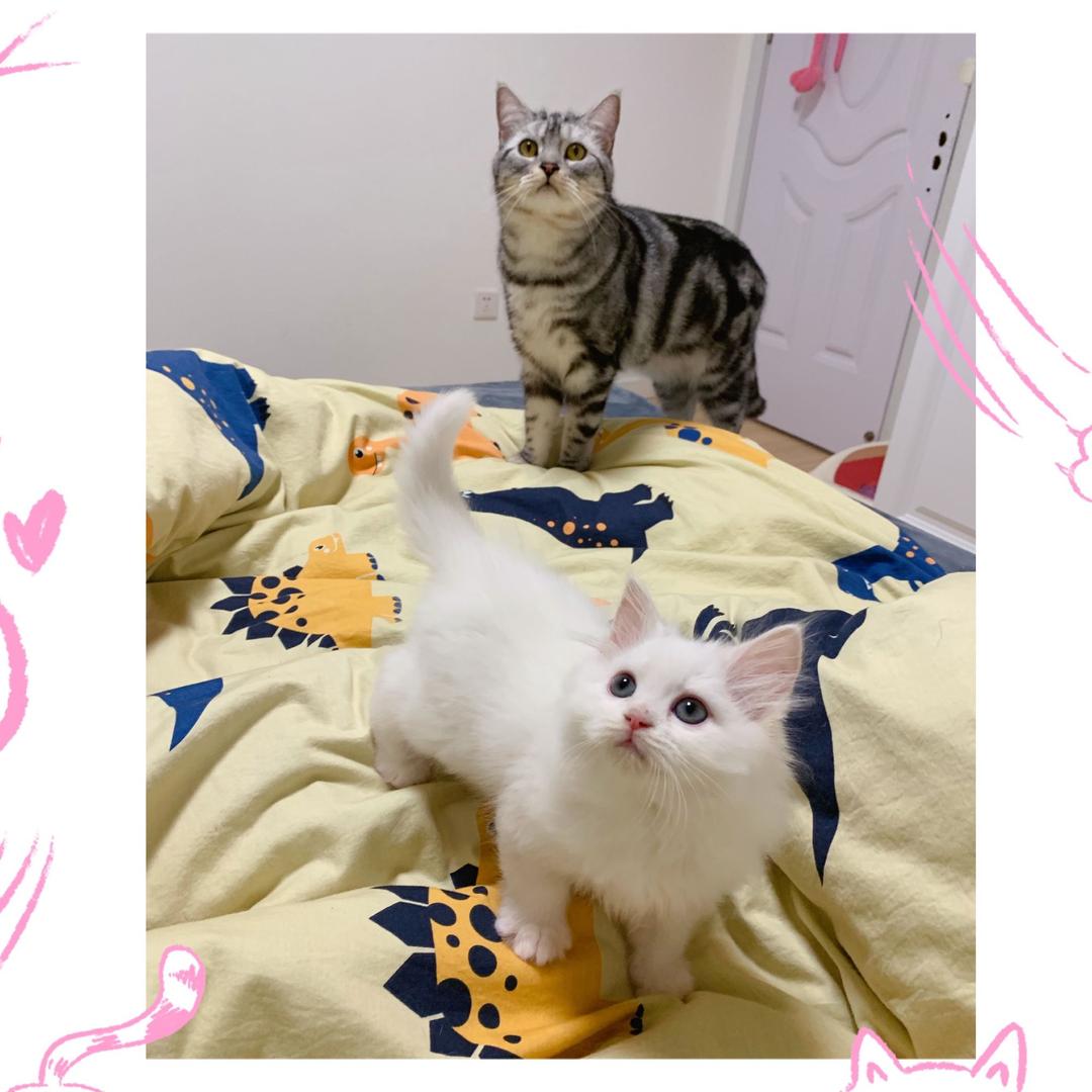 小鱼🐟