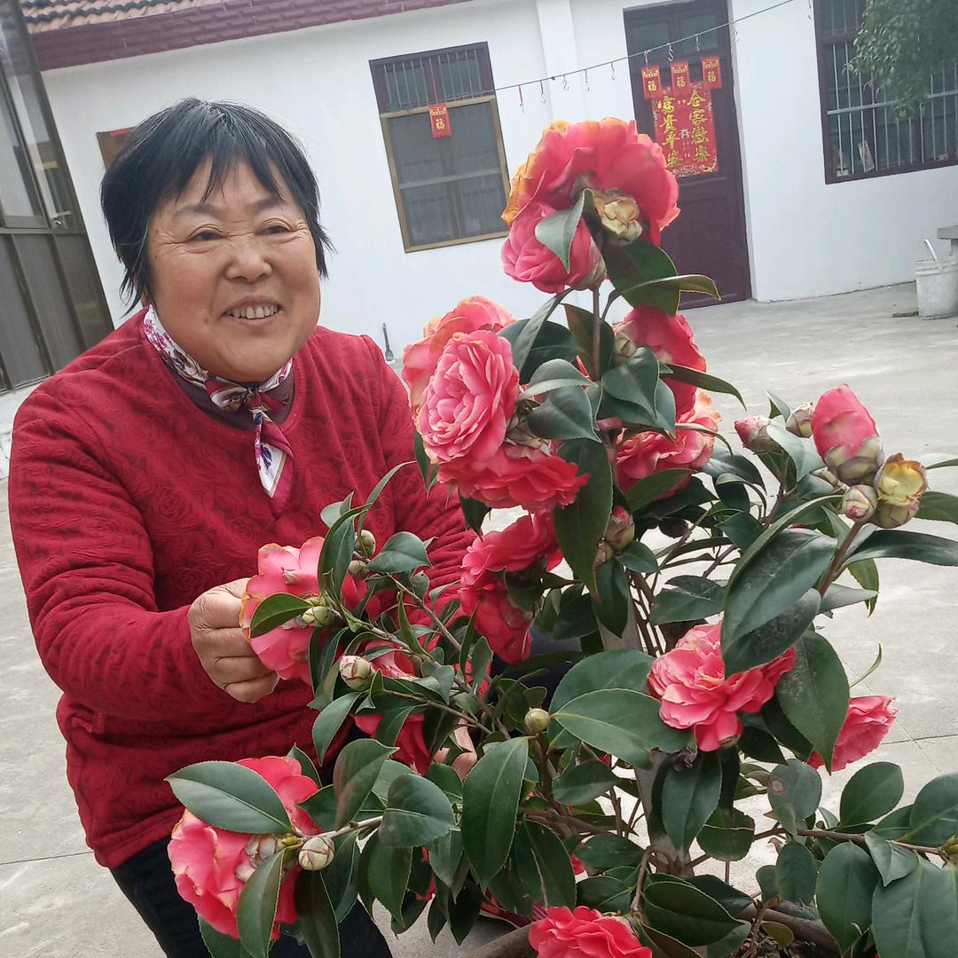林其凤