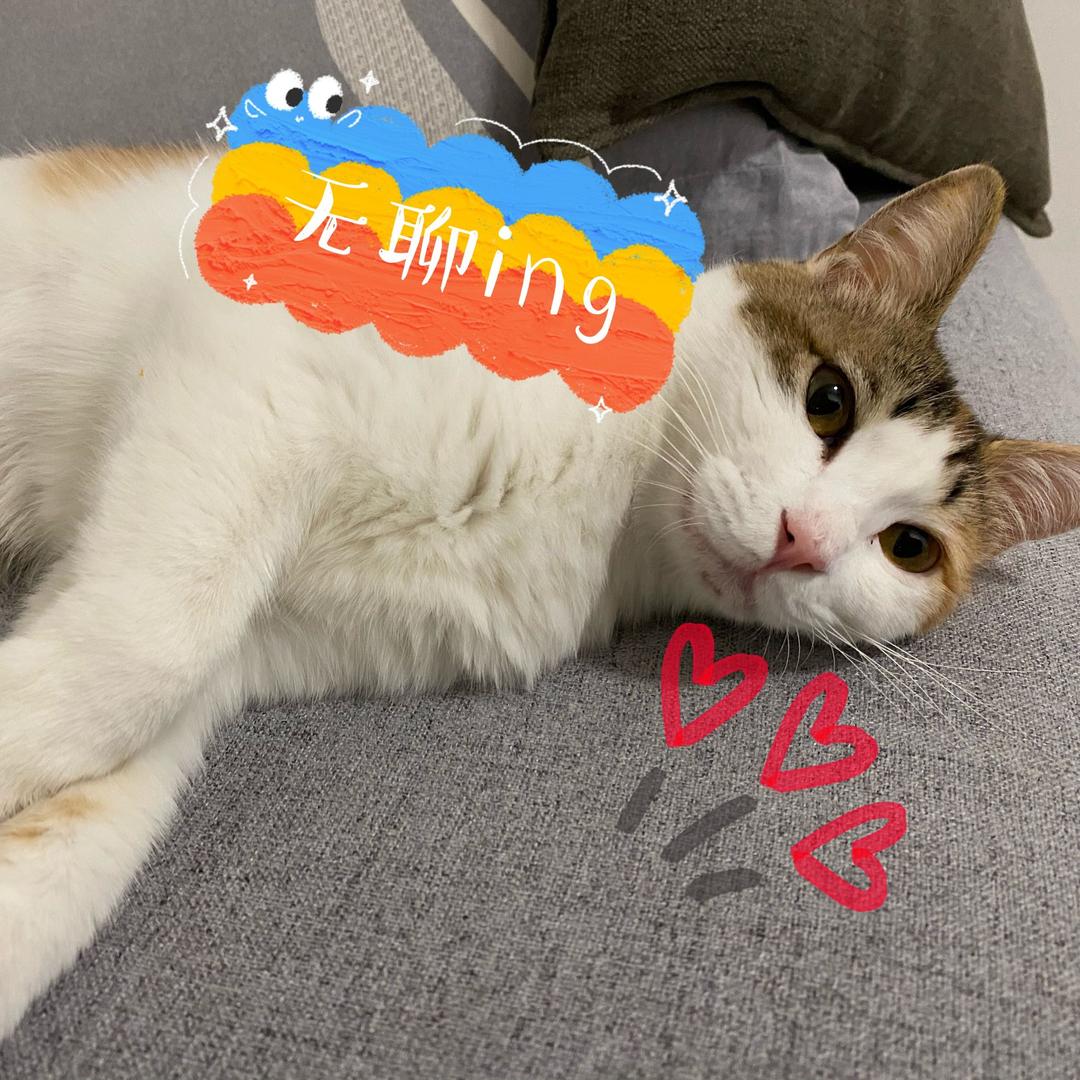 哎呀又要取名字辣