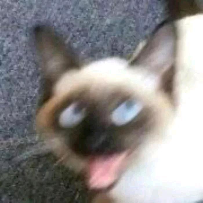 许搞笑