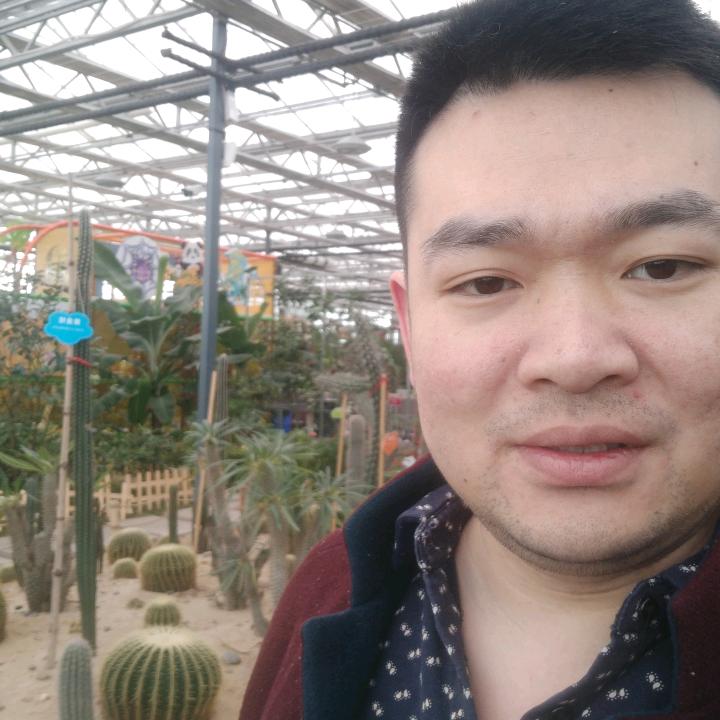 单身万岁