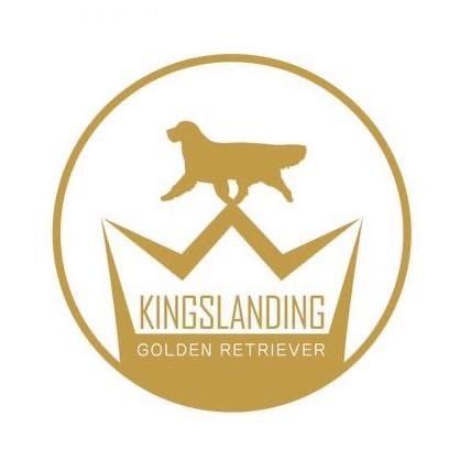 Kingslanding君临犬舍