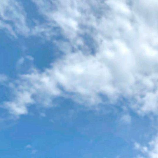 就是玩儿