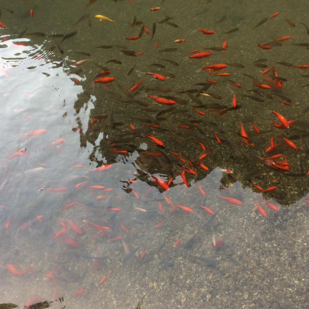 车轮上的风