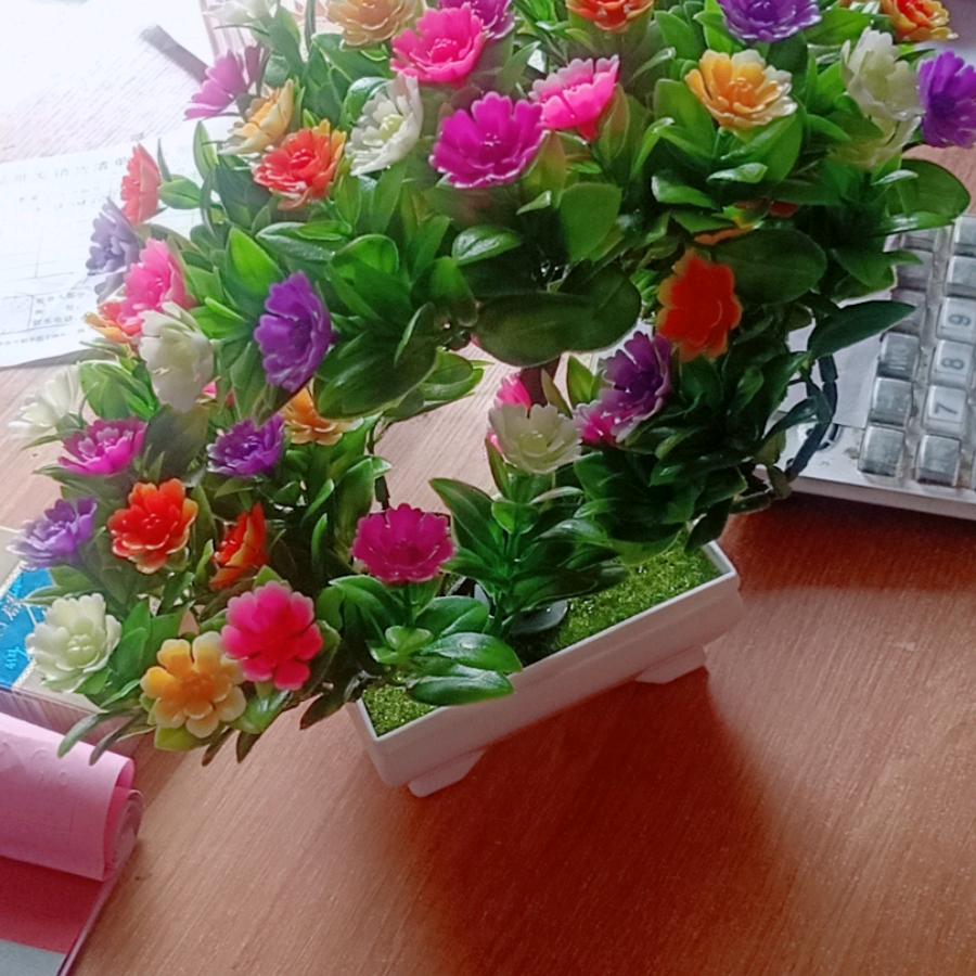 品上鲜自助烤肉(澳龙港湾店)官方号