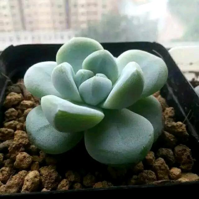 妍宝贝💞