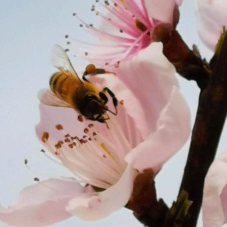 南京市溧水区溧群农副产品经营部