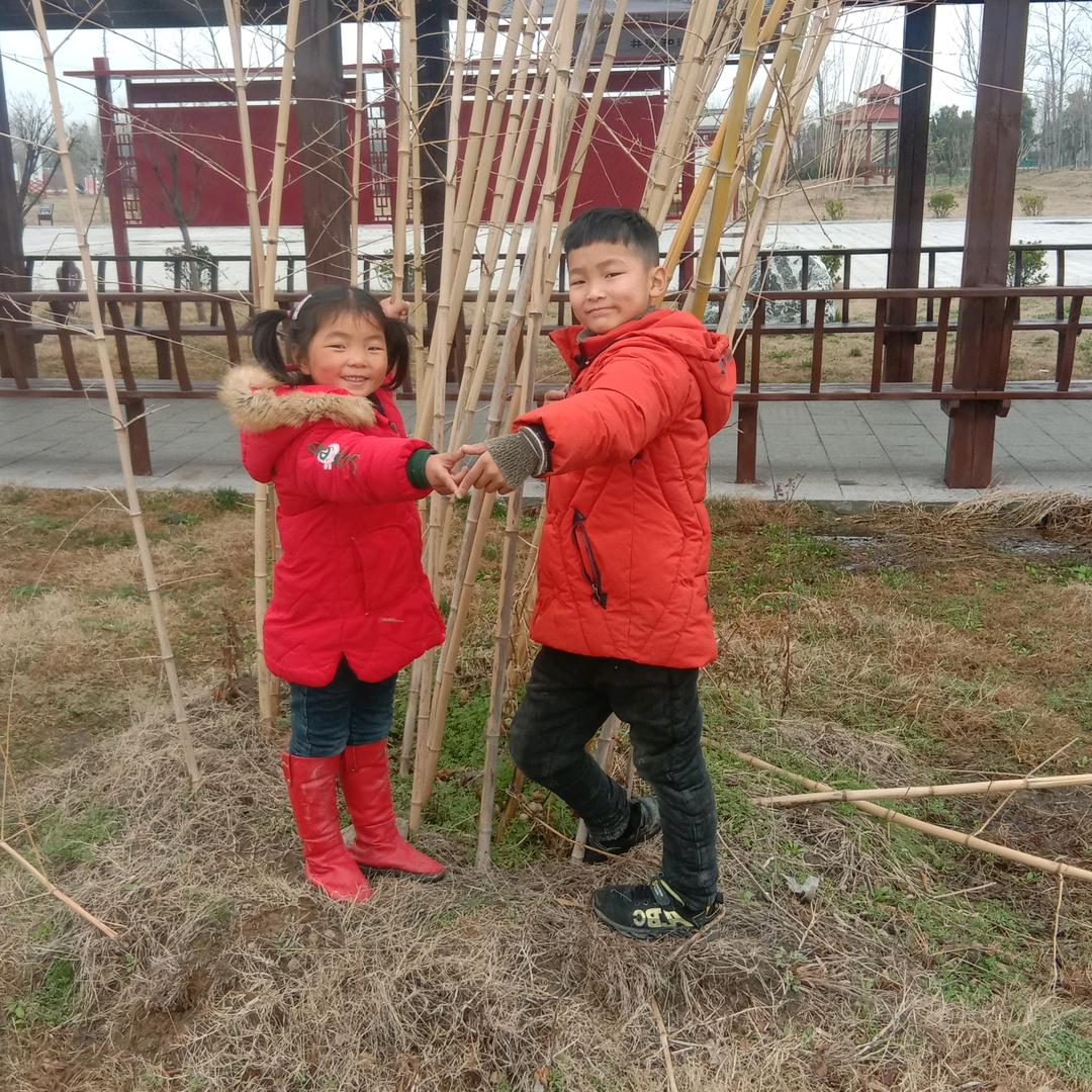 春暖花开年年旺