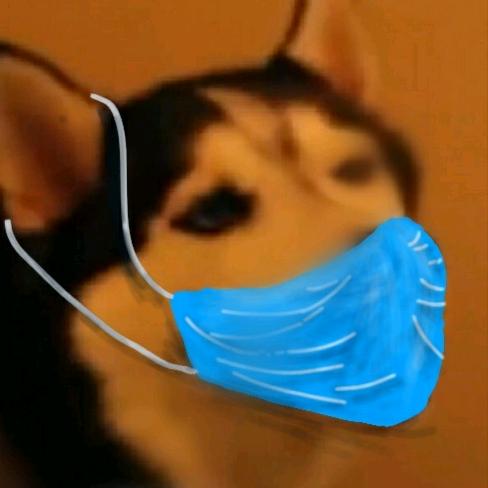影言YH