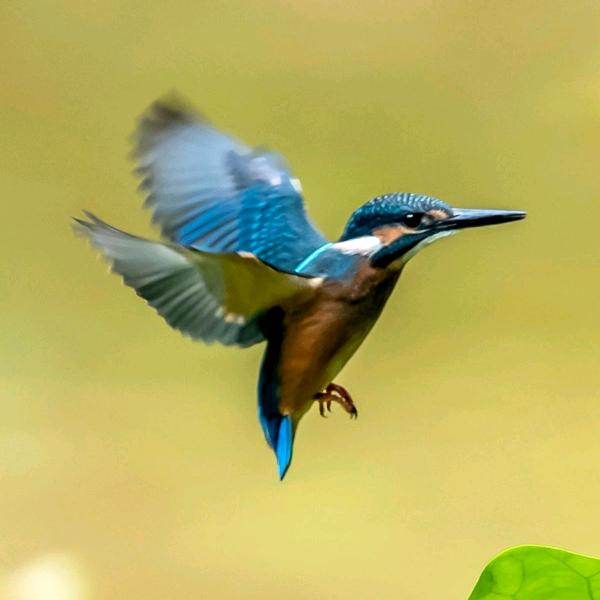 永辉超市段全秀