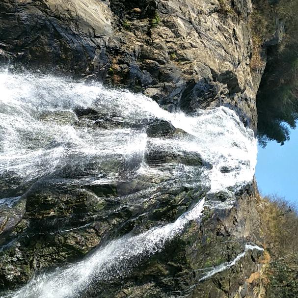 酱油哥