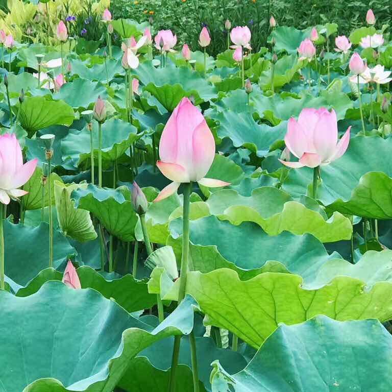 暖粒粒