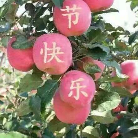 福城
