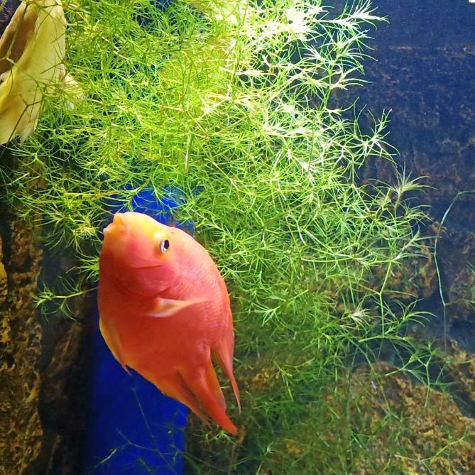 在路上奋斗的人