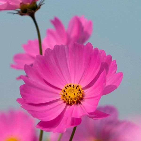 💋小芳💋