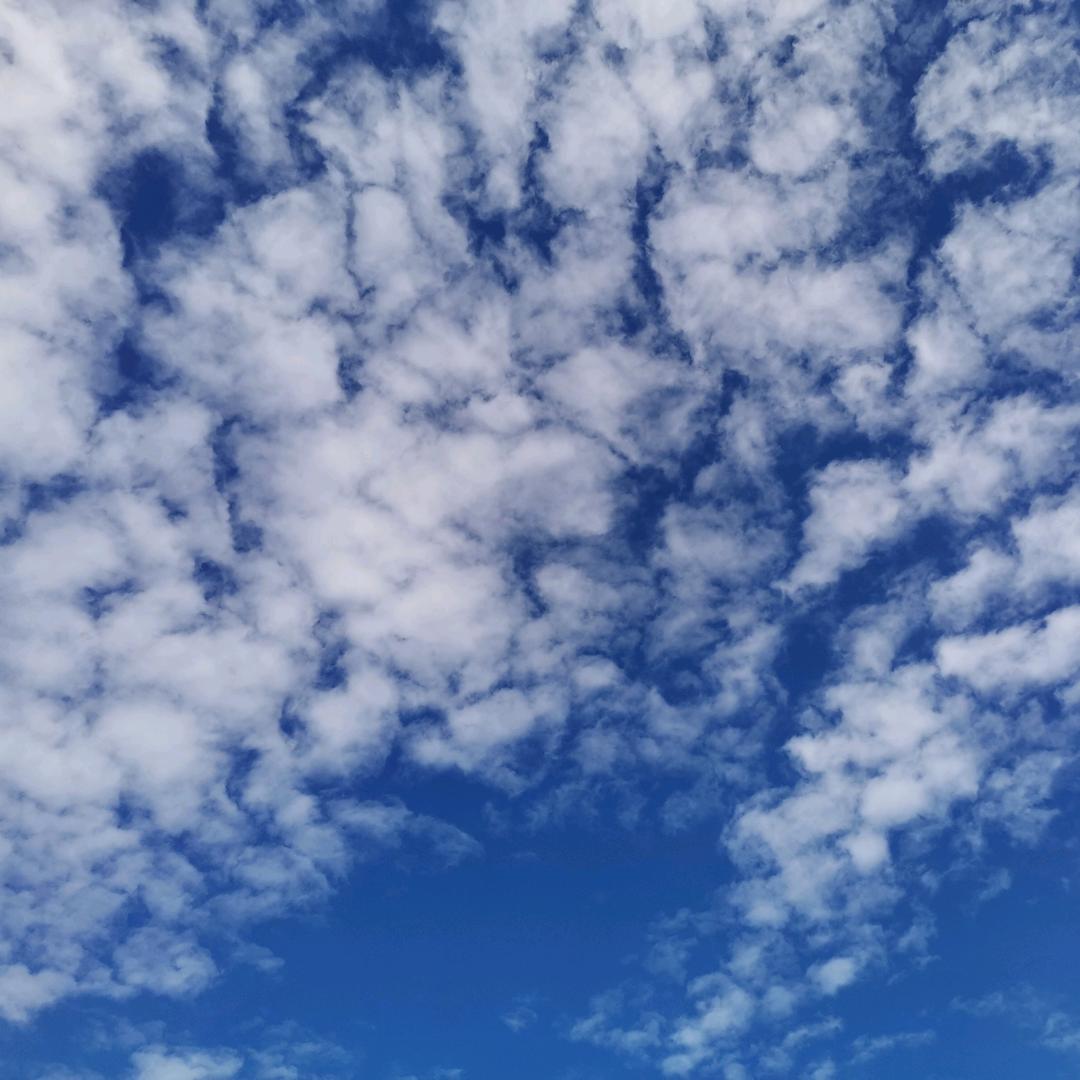 小苹果