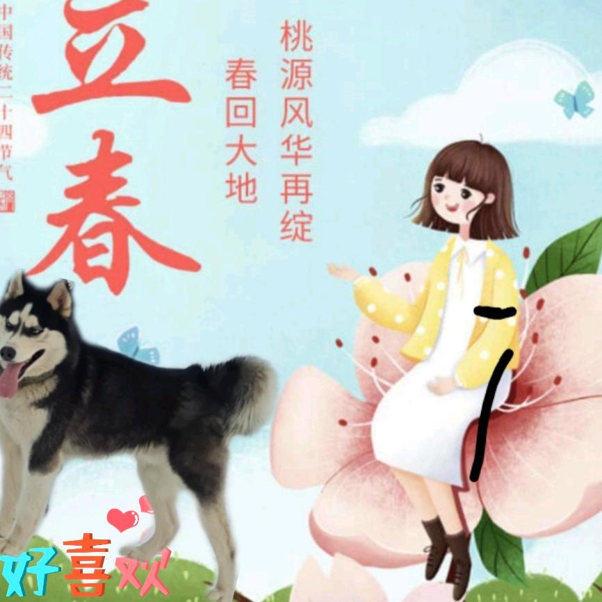 雄鹰飞翔