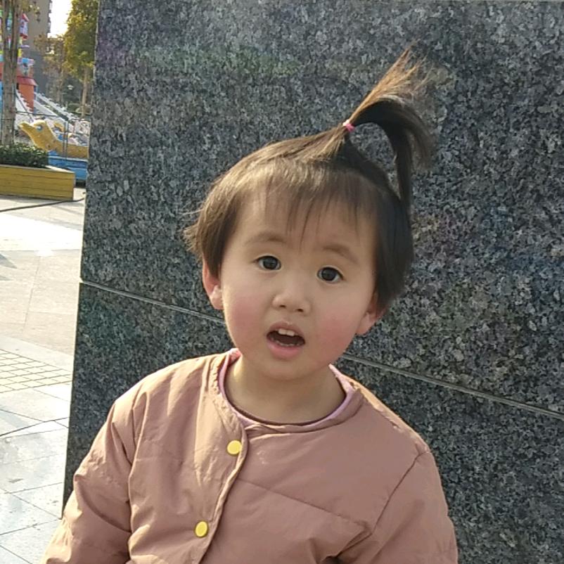 知猪海洋