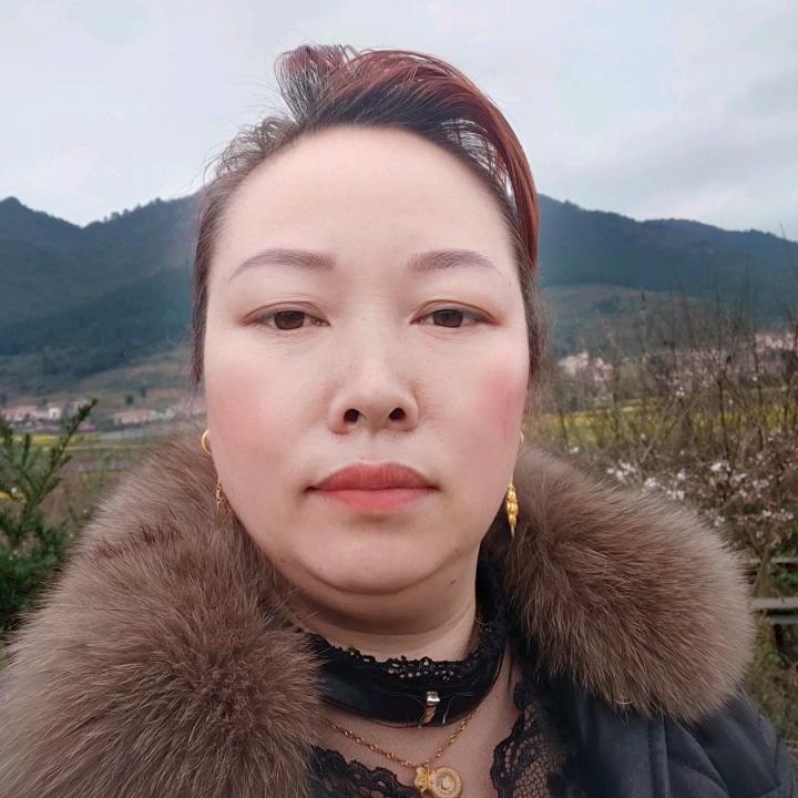 贵人心(张)