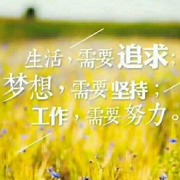浪迹天涯