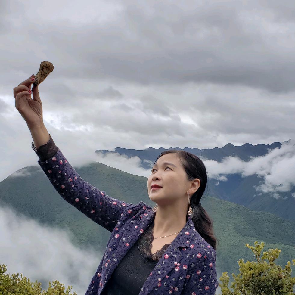 大锅庄-松茸甄选产地直供