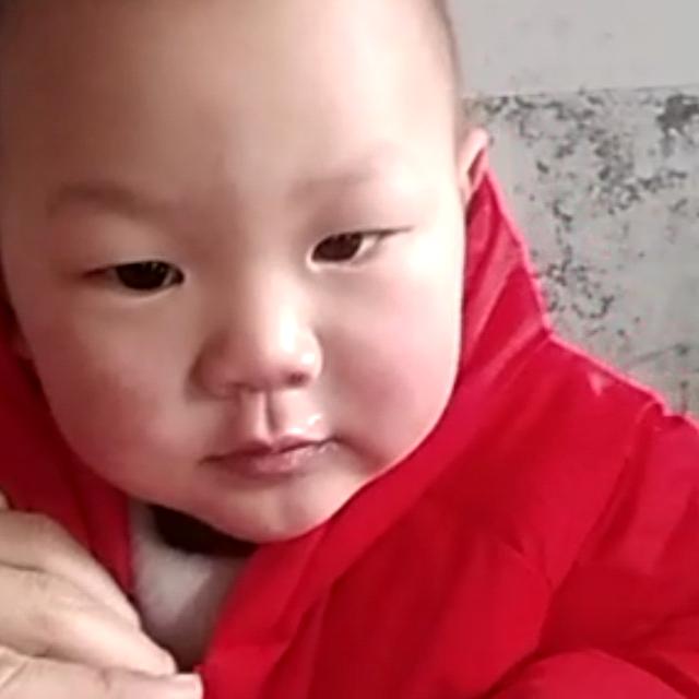 河南大个子