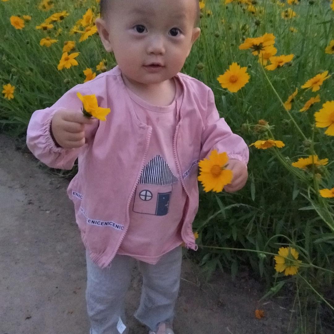 小蕊