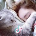 🐱猫🐱