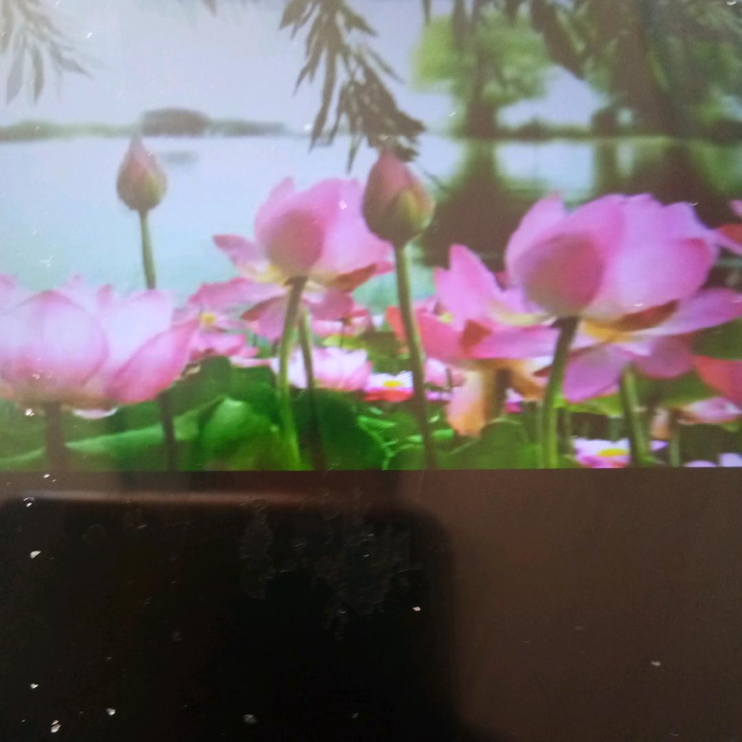 方吴清泉