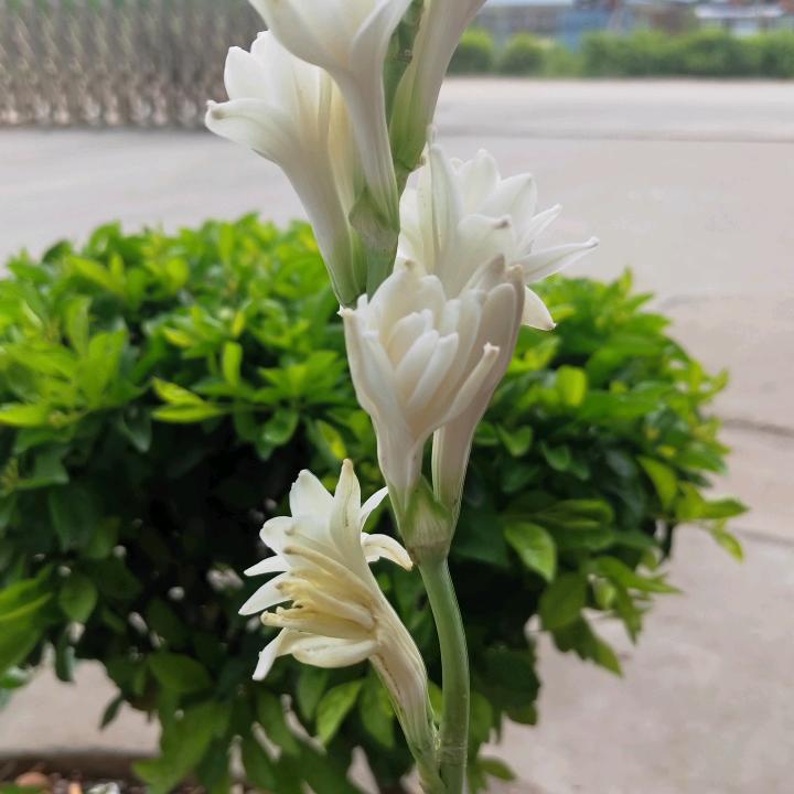 漂流