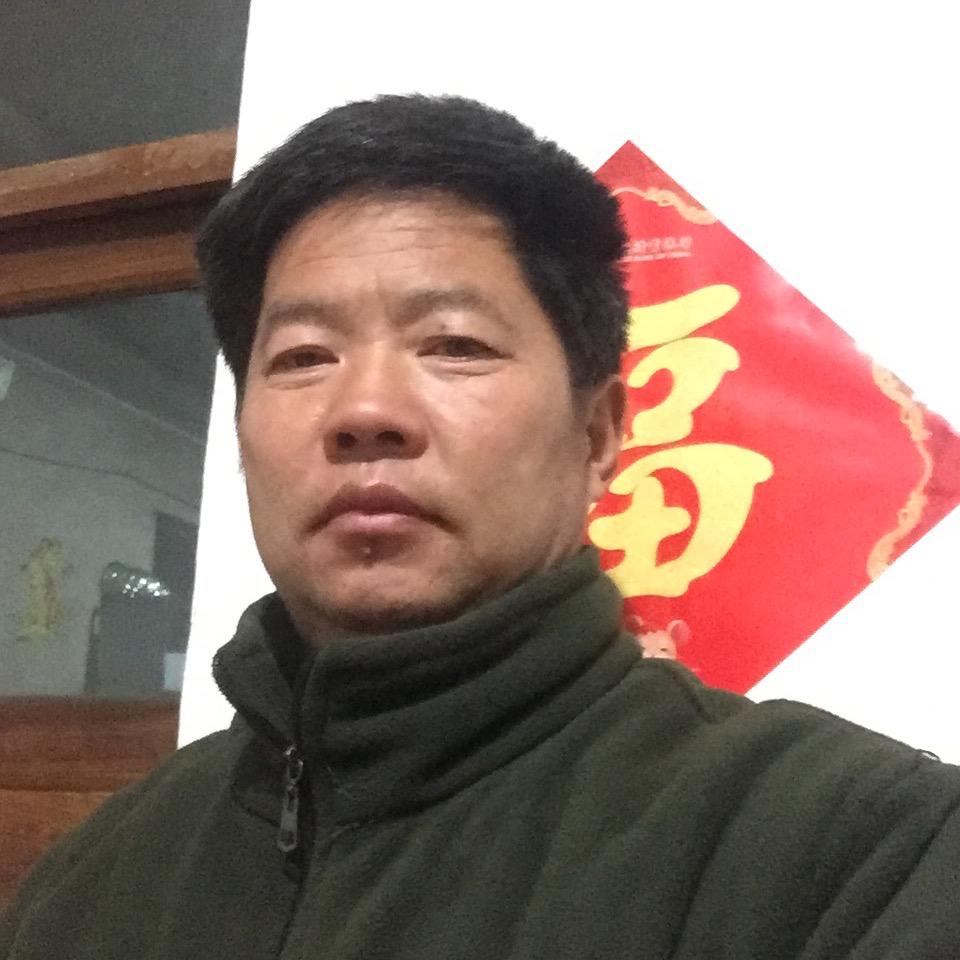 莱芜牛