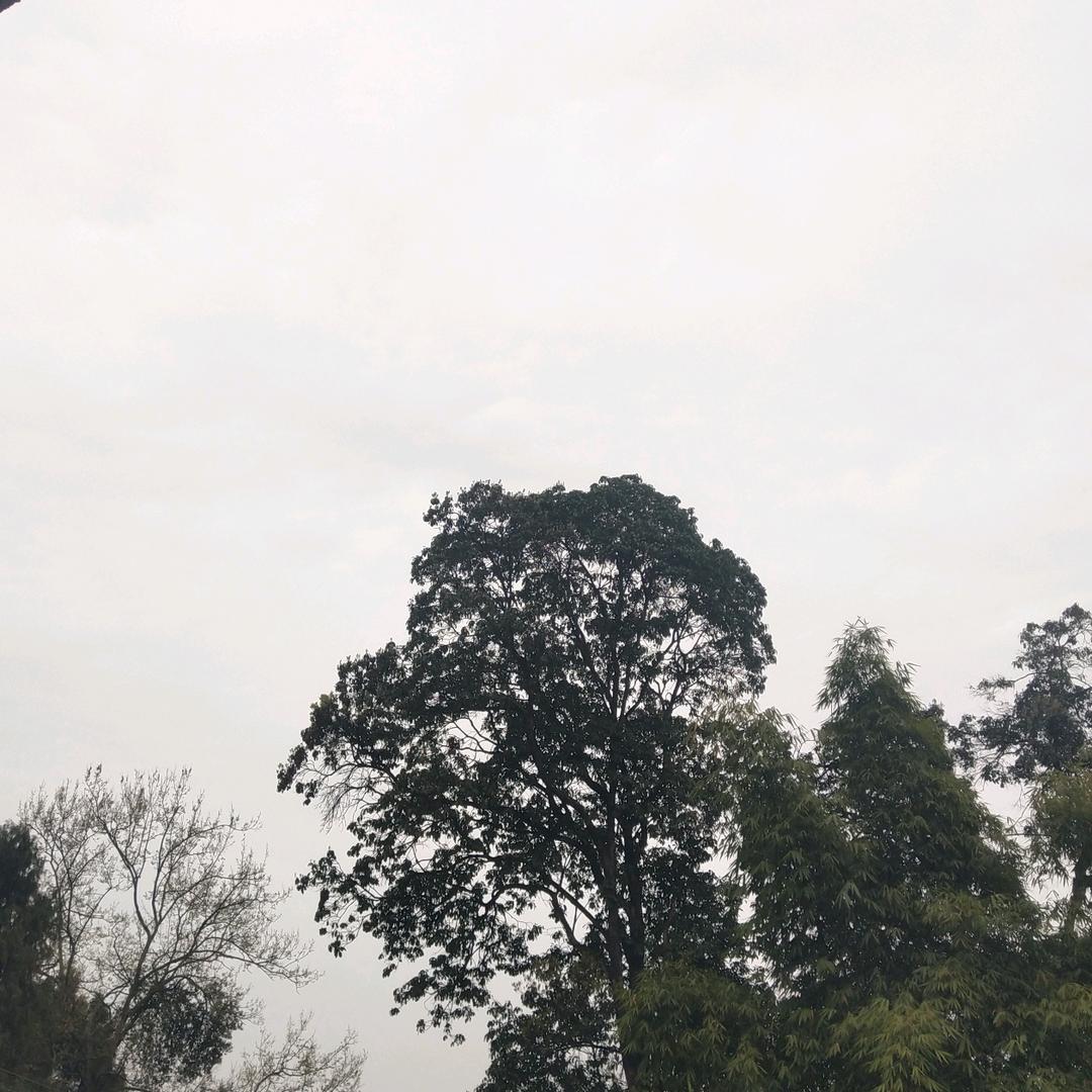 健康是福