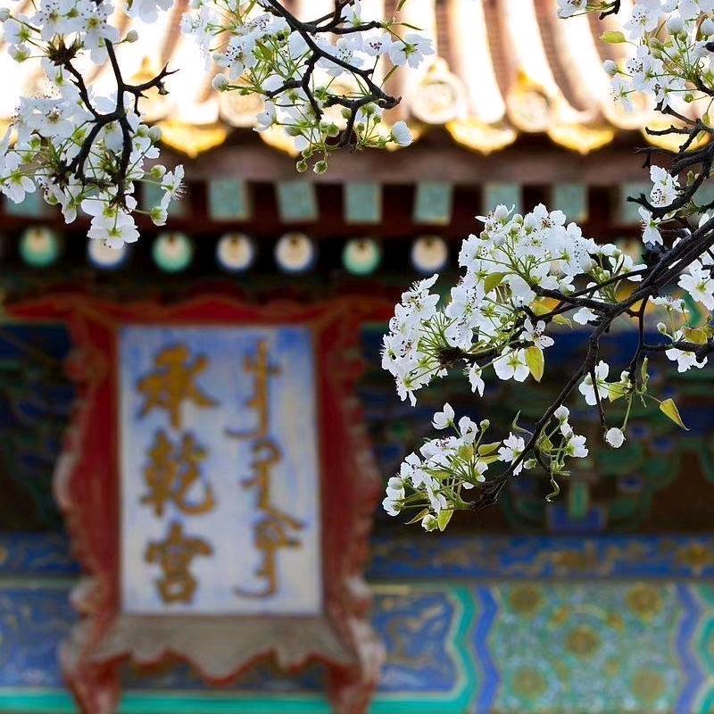 春江水