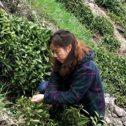 夏天的玉