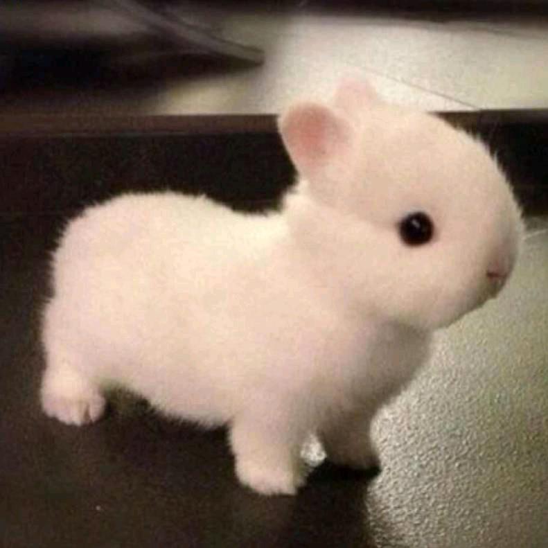 有锋吹过（维创）