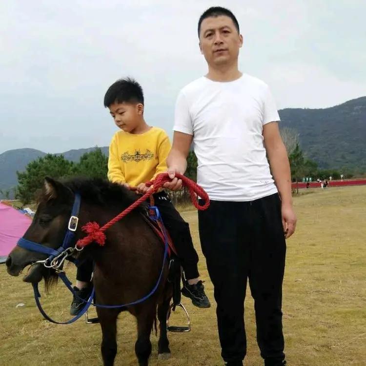 郑兵